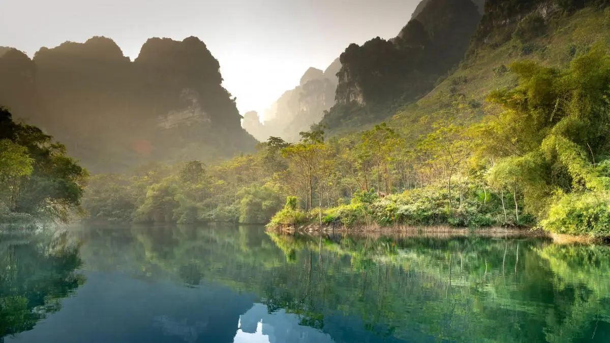 智能系统智能系统智慧